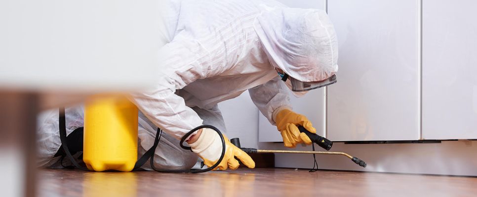 Pest Control Experts