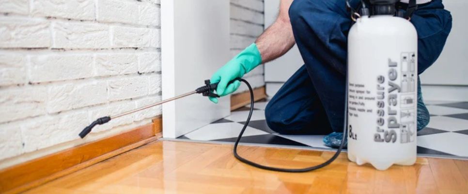 Pest Control Melbourne